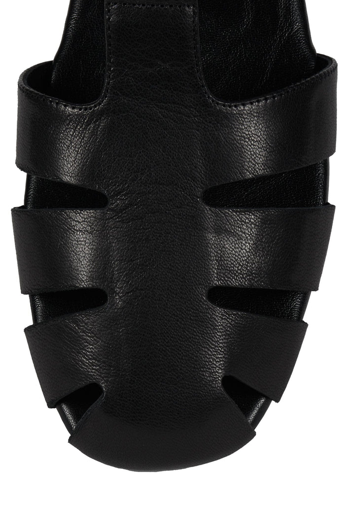 THEORIZE Black 4