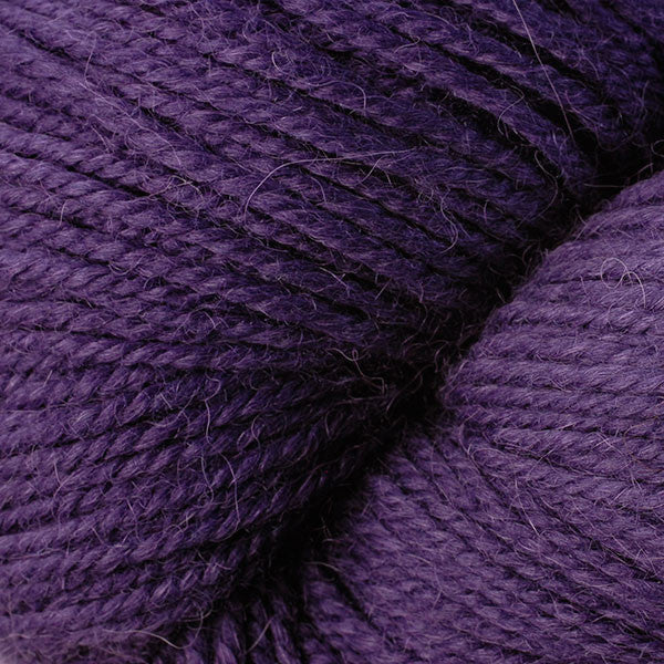 62105 - Eggplant