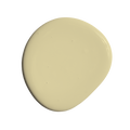 Wide Brim